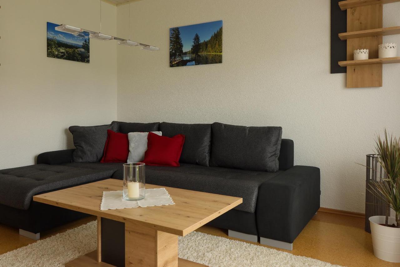 Buchen Blick - Ruhige Moderne Ferienwohnung 82Qm. Fichtelberg Kültér fotó