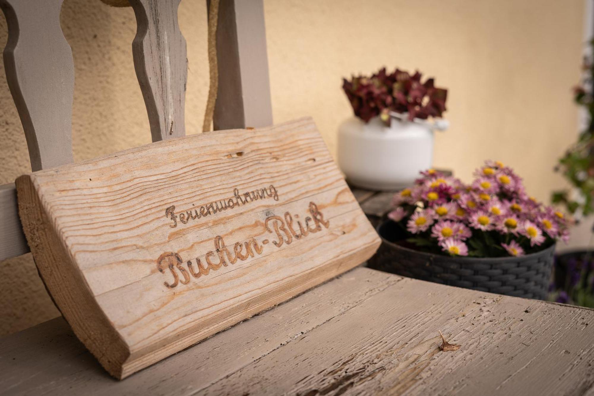 Buchen Blick - Ruhige Moderne Ferienwohnung 82Qm. Fichtelberg Kültér fotó
